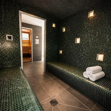 Villa Savoie De Luxe Avec Piscine Et Spa, D'annecy Veyrier-du-Lac